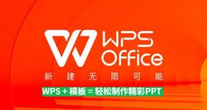 WPS-3