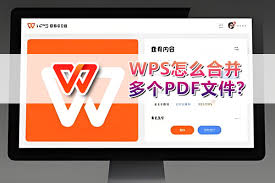 WPS-19