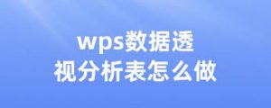 WPS-22